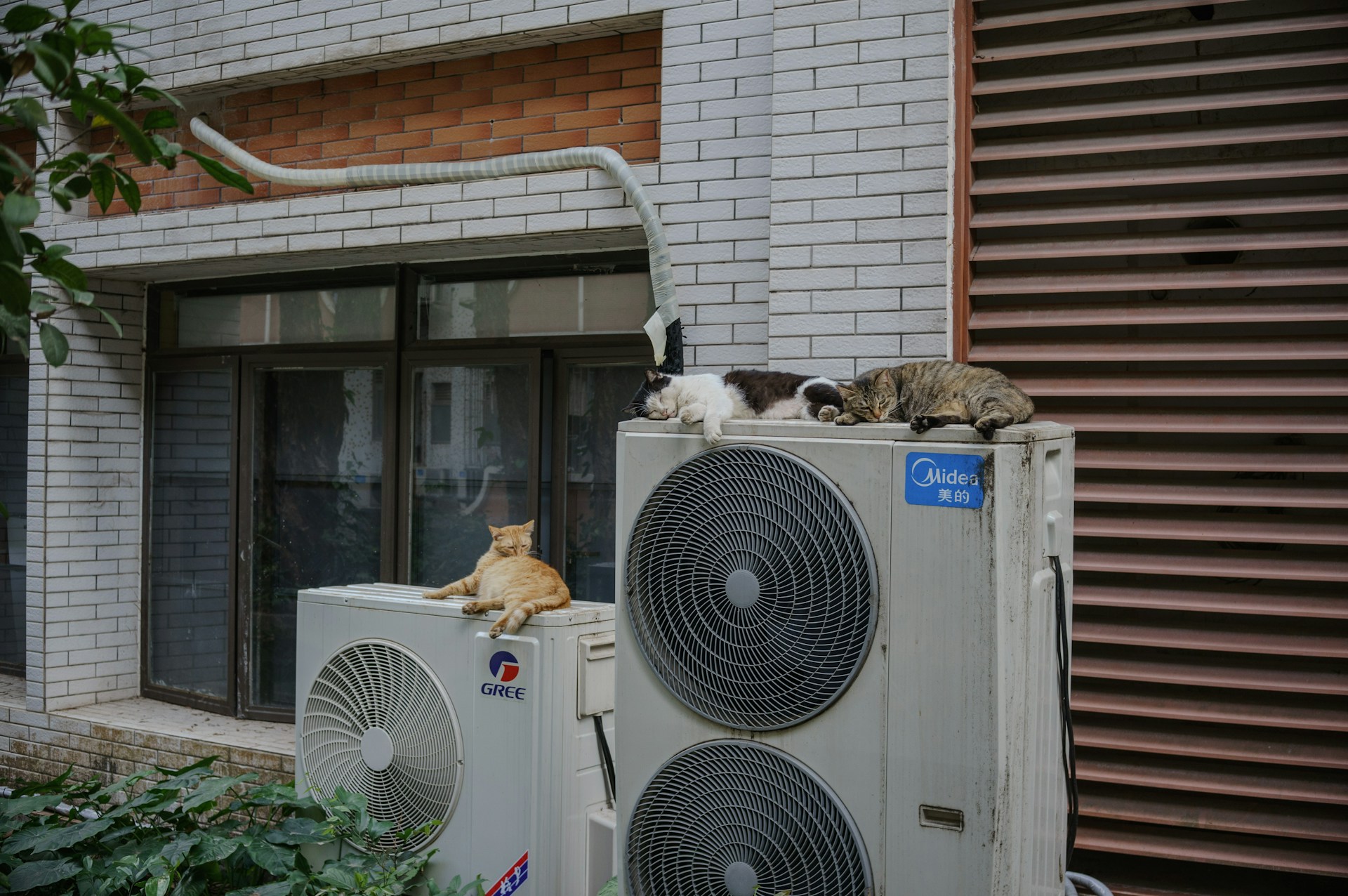 heat pumps